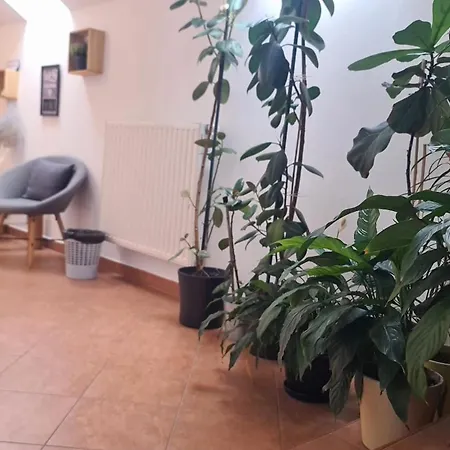 Brne Pensionat Postojna
