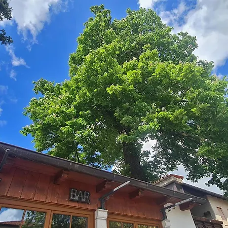 Brne ポストイナ