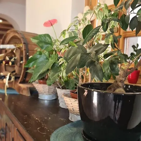 ゲストハウス Brne