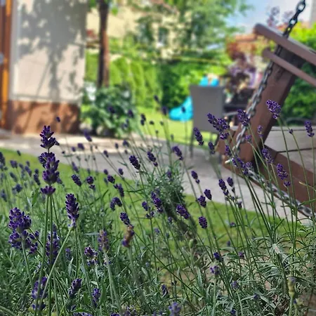 ゲストハウス Brne 2*