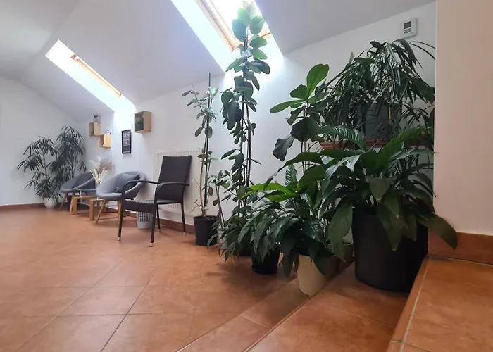 Affittacamere Brne 2*