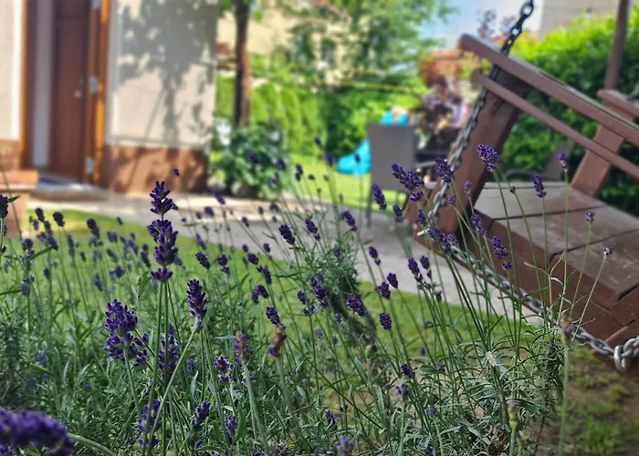 Affittacamere Brne 2*